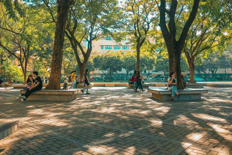 小学生向け基礎学力強化講座